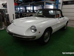 Używany 1969 Alfa Romeo Spider Veloce Kabriolet | 175 000 zł