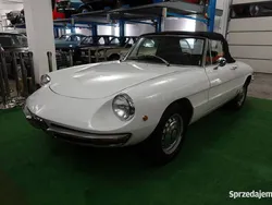 Używany 1969 Alfa Romeo Spider Veloce Kabriolet | 199 000 zł