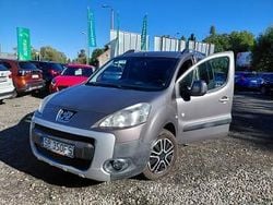 Szary Używany 2009 Peugeot Partner Van | 18 500 zł