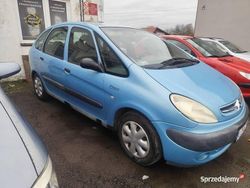 Niebieski Używany 2002 Citroën Xsara Picasso Minivan | 1600 zł (Dobra cena)