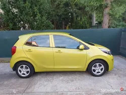Zielony Używany 2019 Kia Picanto 2 Hatchback | 41 700 zł (Uczciwa cena)