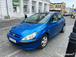 Używany 2002 Peugeot 307 | 2900 zł (Uczciwa cena)