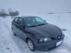 Używany 2004 Seat Ibiza | 7900 zł (Drogi)