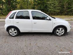 Biały Używany 2004 Opel Corsa Hatchback | 3500 zł (Uczciwa cena)