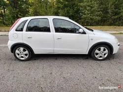 Biały Używany 2004 Opel Corsa Hatchback | 4200 zł (Drogi)