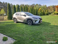Używany 2019 Lexus NX300 F Sport SUV | 108 500 zł