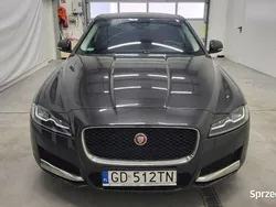 Grafitowy (metalik) Używany 2019 Jaguar XF Prestige Sedan/Limuzyna | 70 000 zł (Super Cena)