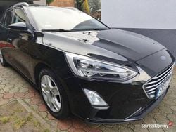Używany 2019 Ford Focus Business Edition | 63 000 zł (Drogi)