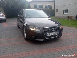 Używany 2008 Audi A3 | 18 900 zł (Uczciwa cena)