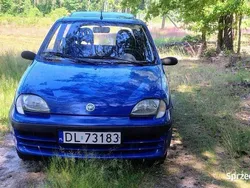 Niebieski Używany 2002 Fiat Seicento Hatchback | 2650 zł (Uczciwa cena)