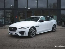 Biały Używany 2024 Jaguar XE R-Dynamic Sedan/Limuzyna | 215 000 zł
