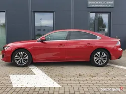 Używany 2019 Peugeot 508 | 76 800 zł (Drogi)