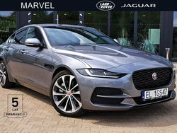 Szary (metalik) Używany 2022 Jaguar XE SE Sedan/Limuzyna | 219 000 zł