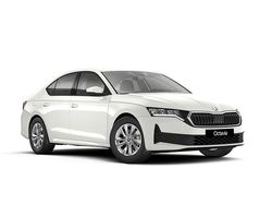 Biel candy niemetalizowany Nowe 2026 Skoda Octavia Essence | 127 400 zł (Super Cena)