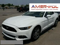 Biały (metalik) Używany 2015 Ford Mustang Coupe | 49 000 zł