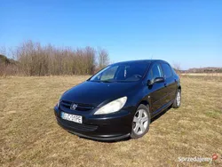Używany 2003 Peugeot 307 | 2600 zł (Uczciwa cena)