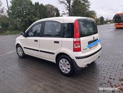 Używany 2011 Fiat Panda Hatchback | 11 500 zł (Uczciwa cena)
