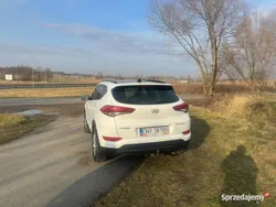 Biały Używany 2015 Hyundai Tucson SUV | 55 900 zł (Uczciwa cena)