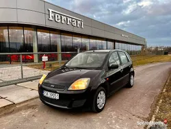 Używany 2007 Ford Fiesta Hatchback | 7900 zł (Uczciwa cena)