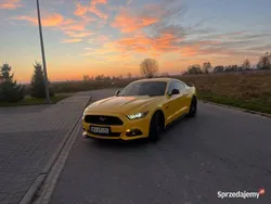 Używany 2016 Ford Mustang | 123 000 zł