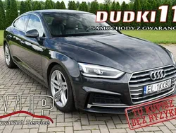 Szary Używany 2019 Audi A5 Coupe | 105 900 zł