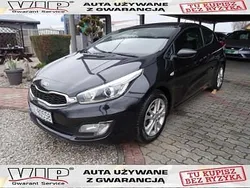 Czarny Używany 2013 Kia ProCeed Hatchback | 26 900 zł