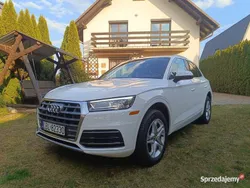 Biały Używany 2019 Audi Q5 Premium SUV | 94 900 zł (Super Cena)