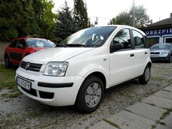 Biały Używany 2008 Fiat Panda Hatchback | 8500 zł (Uczciwa cena)