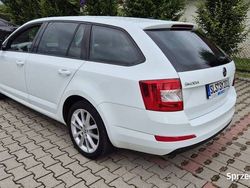 Biały Używany 2015 Skoda Octavia Kombi | 39 900 zł (Uczciwa cena)