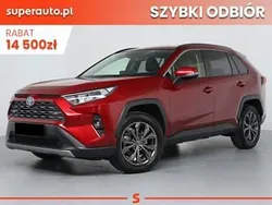 Czerwony Nowe 2025 Toyota RAV4 Hybrid Comfort SUV | 192 700 zł