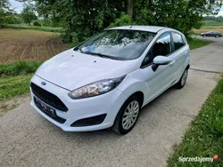 Biały Używany 2016 Ford Fiesta Hatchback | 3800 zł