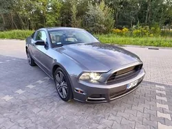 Szary Używany 2014 Ford Mustang Coupe | 65 000 zł