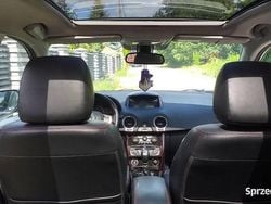 Czarny Używany 2014 Renault Koleos SUV | 25 900 zł (Super Cena)