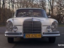 Używany 1964 Mercedes 220 Coupe | 129 000 zł