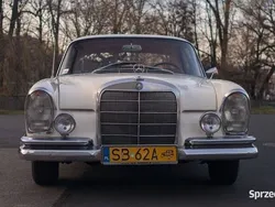 Używany 1964 Mercedes 220 Coupe | 135 000 zł