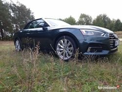 Używany 2019 Audi A5 Premium Plus Coupe | 89 900 zł (Super Cena)