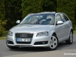 Srebrny Używany 2009 Audi A3 Hatchback | 25 900 zł (Dobra cena)