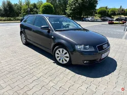 Szary Używany 2005 Audi A3 Hatchback | 9999 zł (Uczciwa cena)