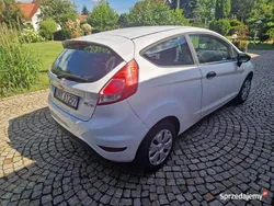 Biały Używany 2014 Ford Fiesta Hatchback | 15 900 zł (Uczciwa cena)