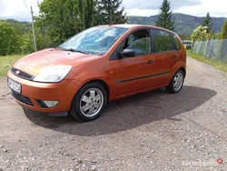 Używany 2003 Ford Fiesta Hatchback | 4000 zł (Uczciwa cena)