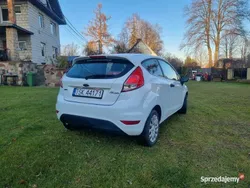 Biały Używany 2013 Ford Fiesta Hatchback | 11 500 zł (Uczciwa cena)