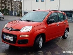 Używany 2013 Fiat Panda | 19 500 zł