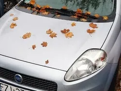 Srebrny Używany 2006 Fiat Grande Punto Hatchback | 6900 zł (Dobra cena)