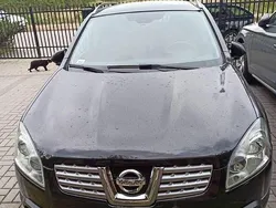 Używany 2009 Nissan Qashqai SUV | 14 500 zł (Dobra cena)