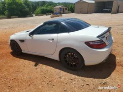 Używany 2013 Mercedes SLK55 AMG AMG Kabriolet | 78 000 zł