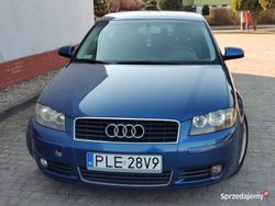 Niebieski Używany 2004 Audi A3 Hatchback | 11 900 zł (Dość drogi)