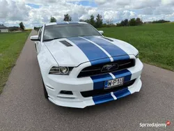 Biały Używany 2014 Ford Mustang GT Coupe | 102 000 zł (Uczciwa cena)