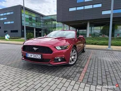 Bordowy Używany 2015 Ford Mustang GT Kabriolet | 93 000 zł