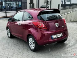 Używany 2009 Ford Ka Titanium Hatchback | 17 499 zł (Drogi)