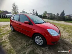 Czerwony Używany 2003 Ford Fiesta Hatchback | 5000 zł (Uczciwa cena)